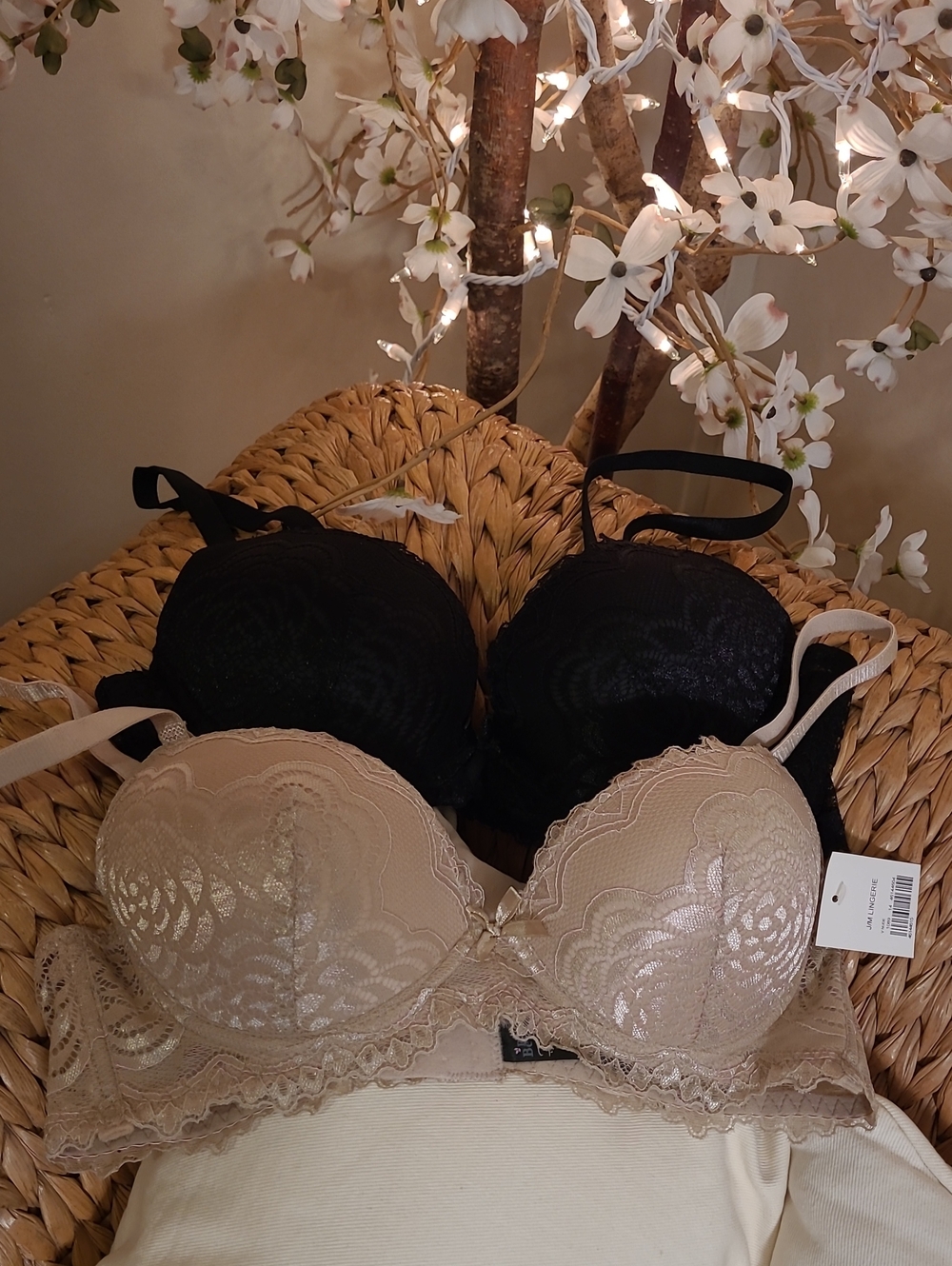 NWT Sexy Lace Bra Set